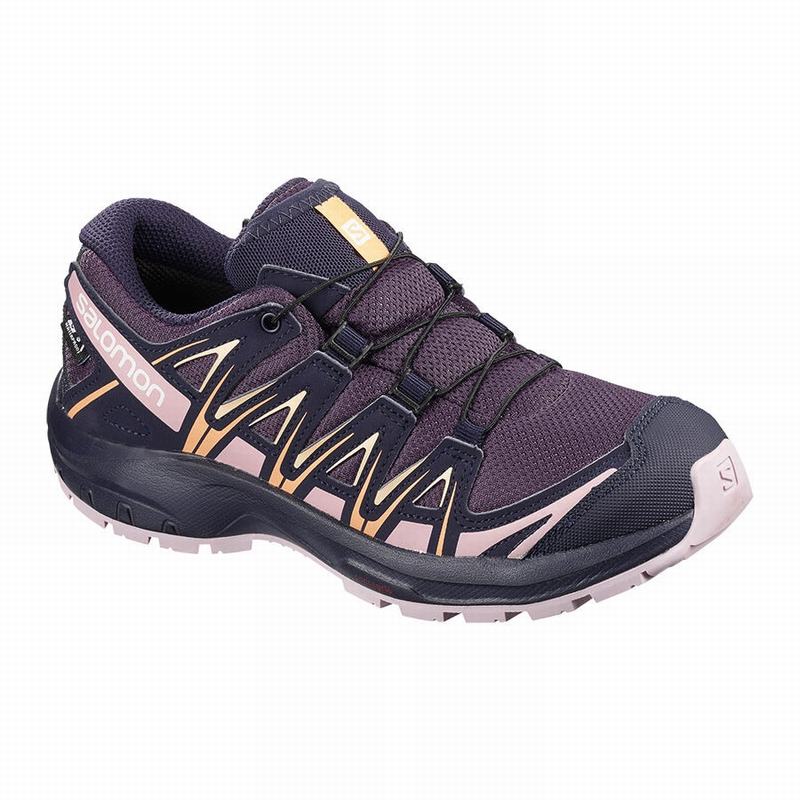 Zapatillas Trail Running Salomon Niños Moradas / Azules - Salomon Argentina XA PRO 3D CLIMASALOMON™